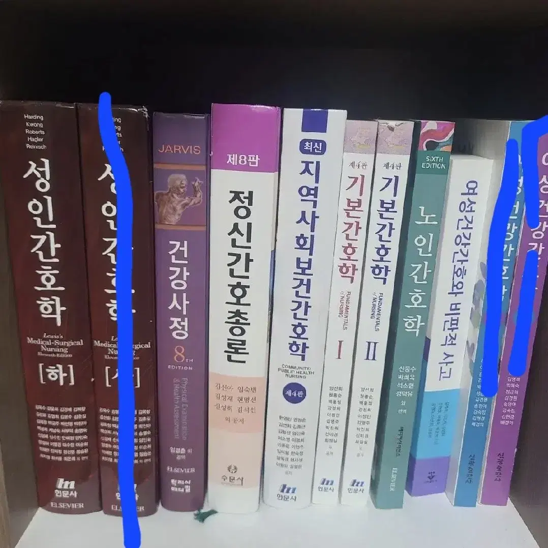 간호학과 전공책