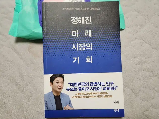 정해진 미래 시장의 기회 - 경영학 서적