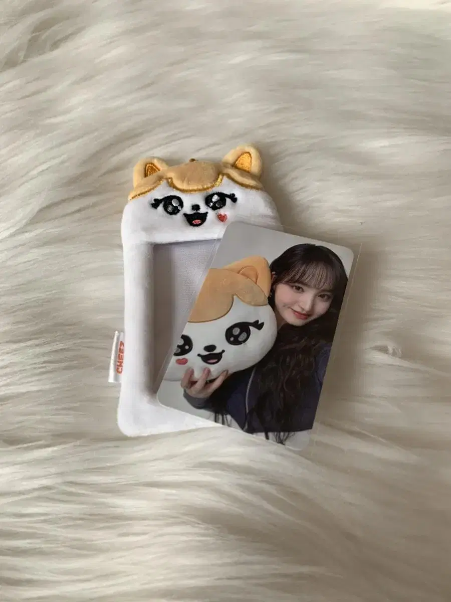 Source)))Cheese photocard holder, minive liz photocard sells