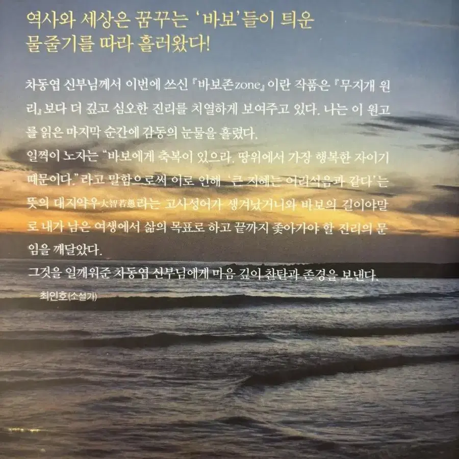 바보zone 행복과 성공을 부르는 무한 성장동력