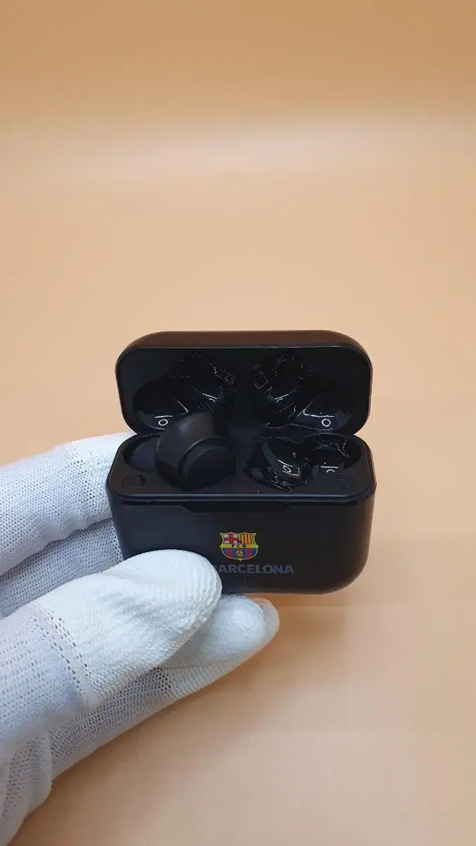 FCB BE141K Wireless Earphones