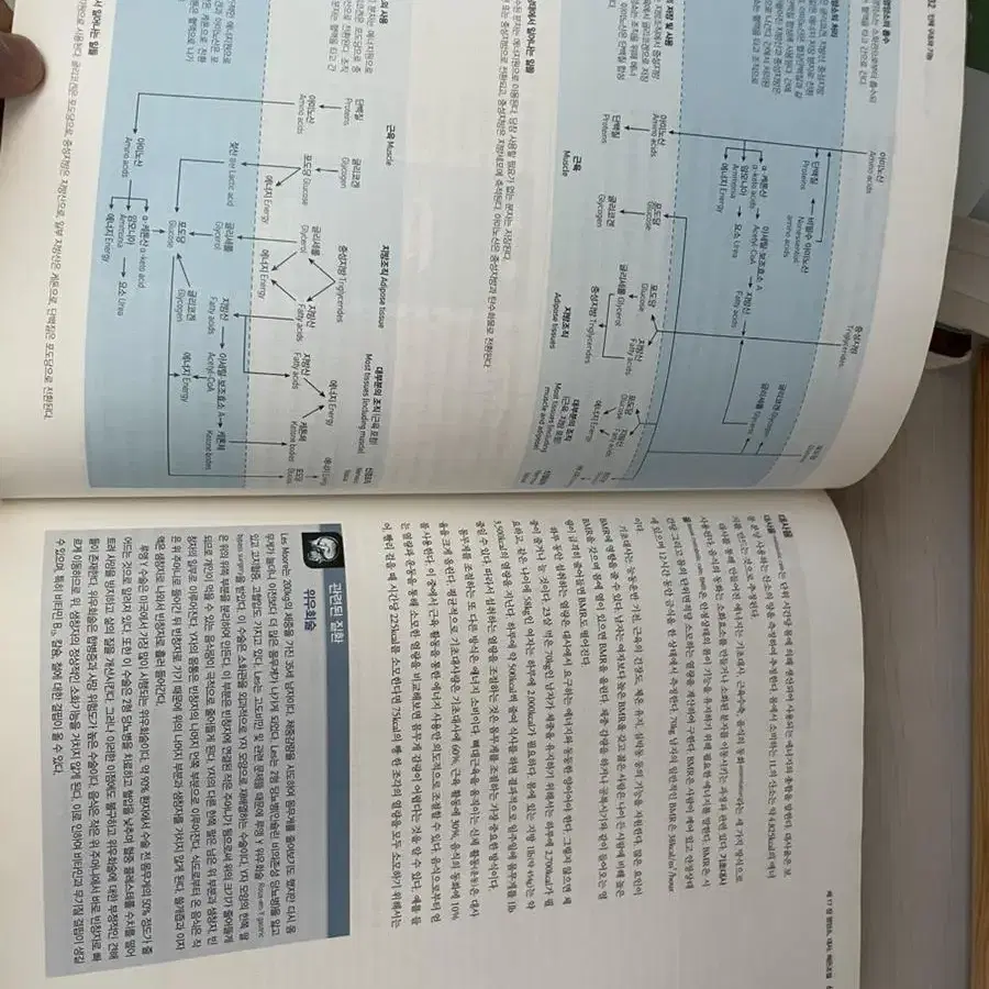 Anatomy& physiology 인체구조와 기능 1,2(정문각)