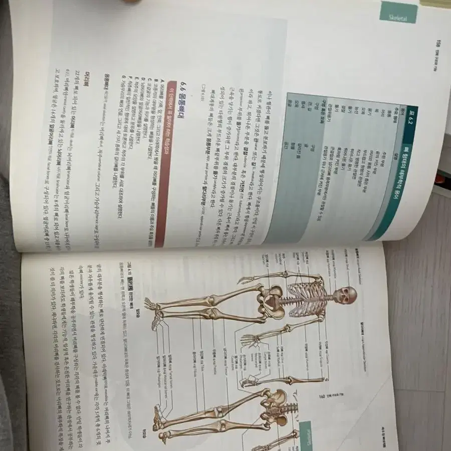 Anatomy& physiology 인체구조와 기능 1,2(정문각)