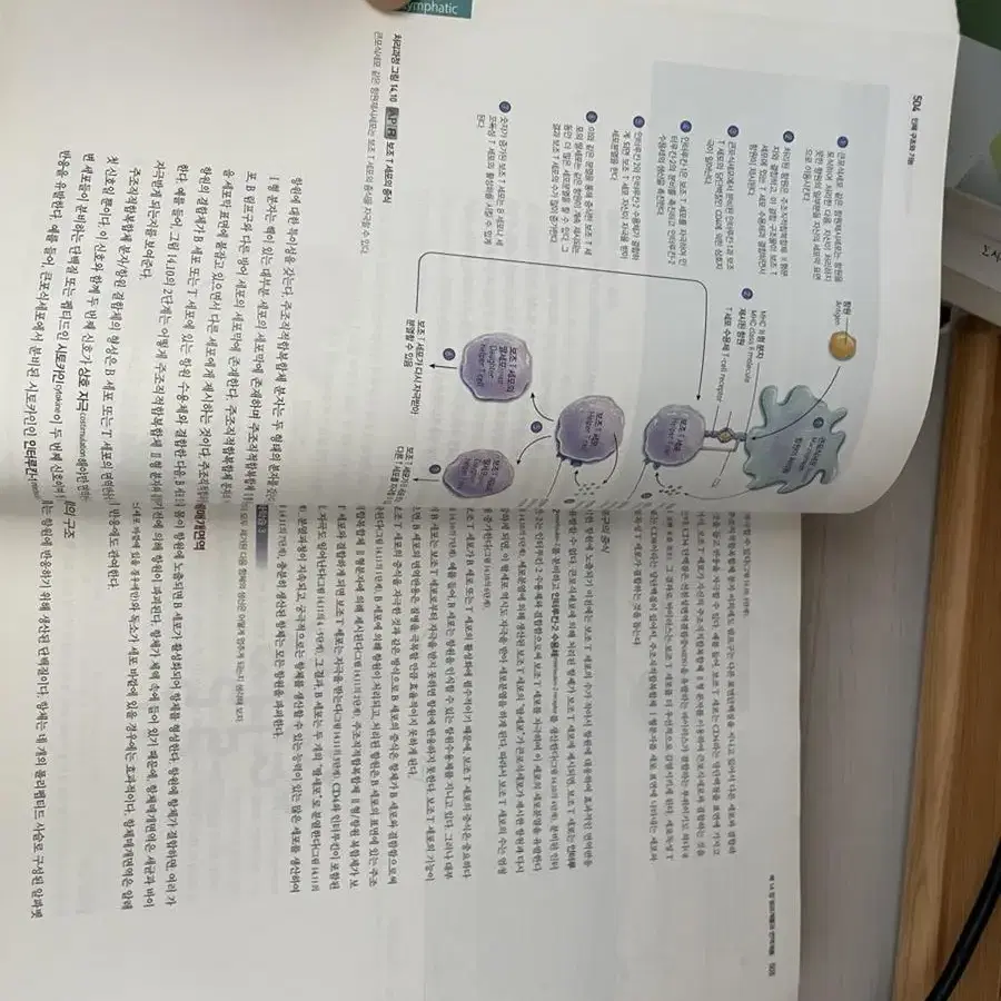 Anatomy& physiology 인체구조와 기능 1,2(정문각)