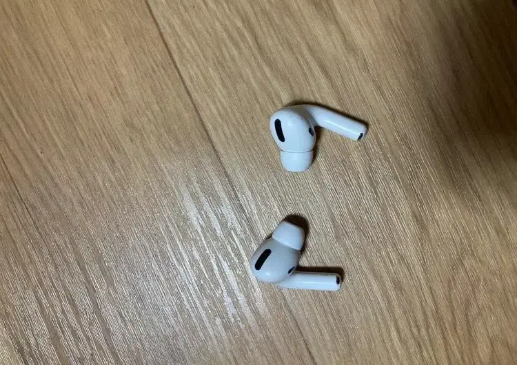 AirPods Pro 1 (only 2 units) Not the main unit.