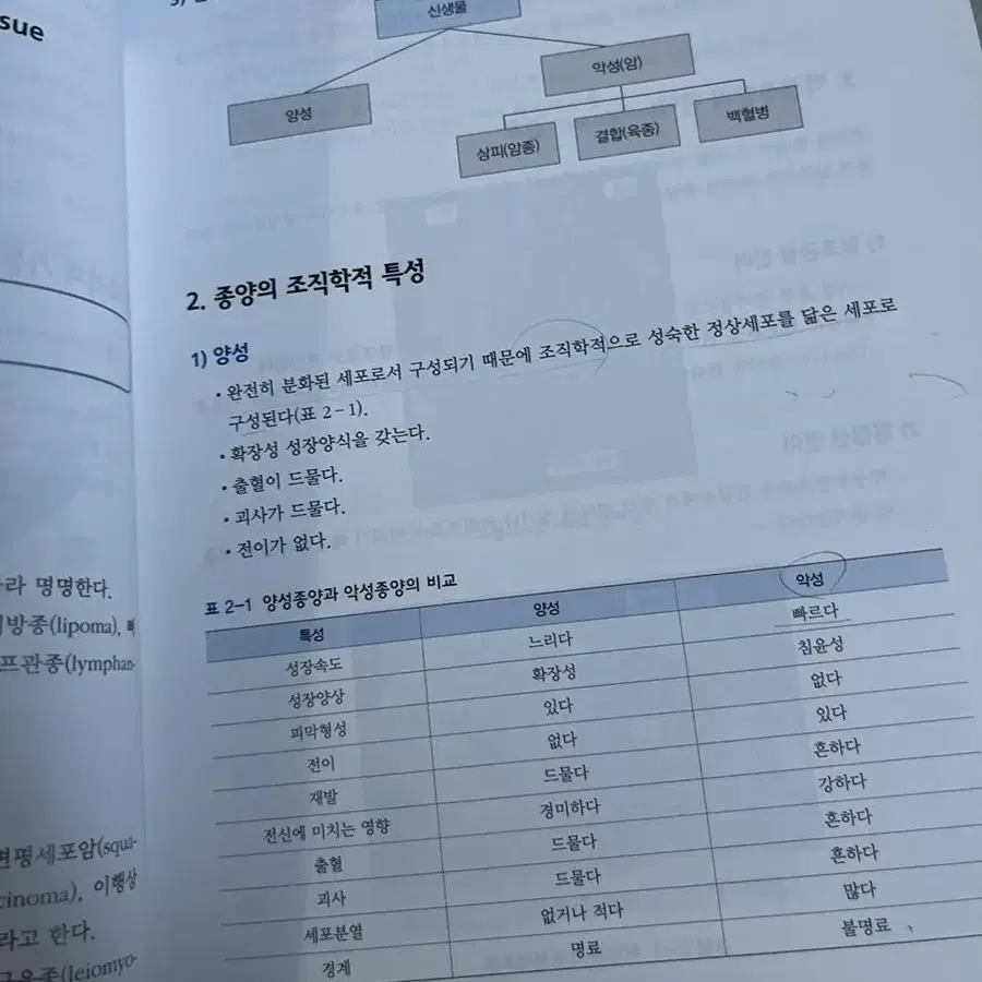 기초의학 교재 팔아요