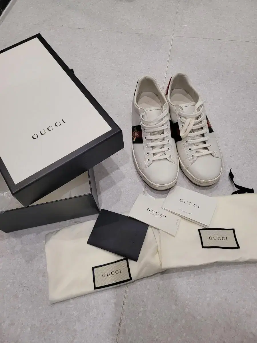 Gucci sneakers