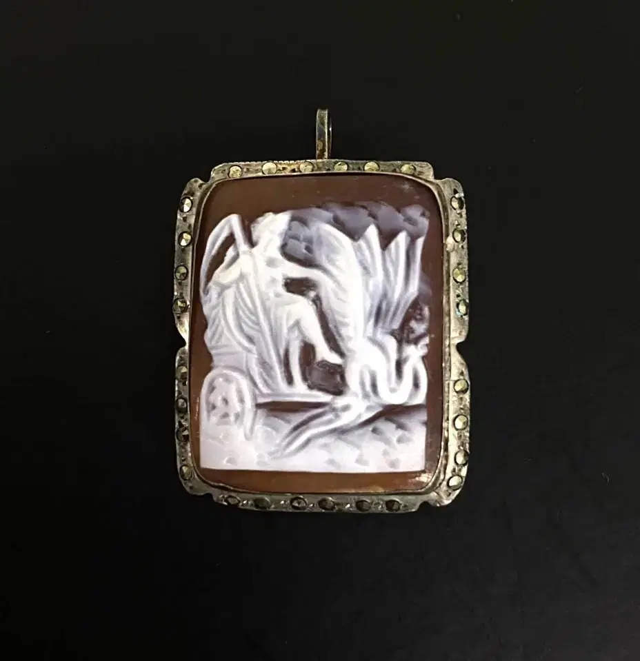 Real Sado닉스 Shell Cameo Pendant and Brooch