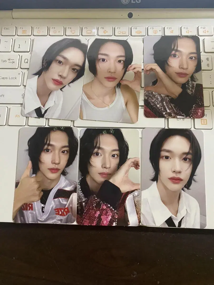 Rize wonbin pop up Store Exhibitions Trading Cards Photocards Pokka