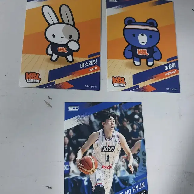 KBL 부산 KCC 이호현 바스래빗 농곰이