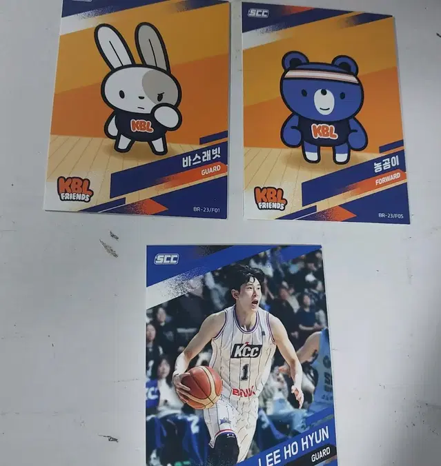 KBL 부산 KCC 이호현 바스래빗 농곰이