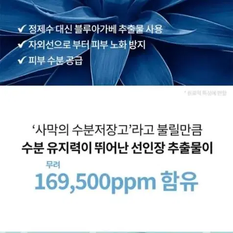 아이레시피 마일드 히알루로닉 모이스트 업 선스크린