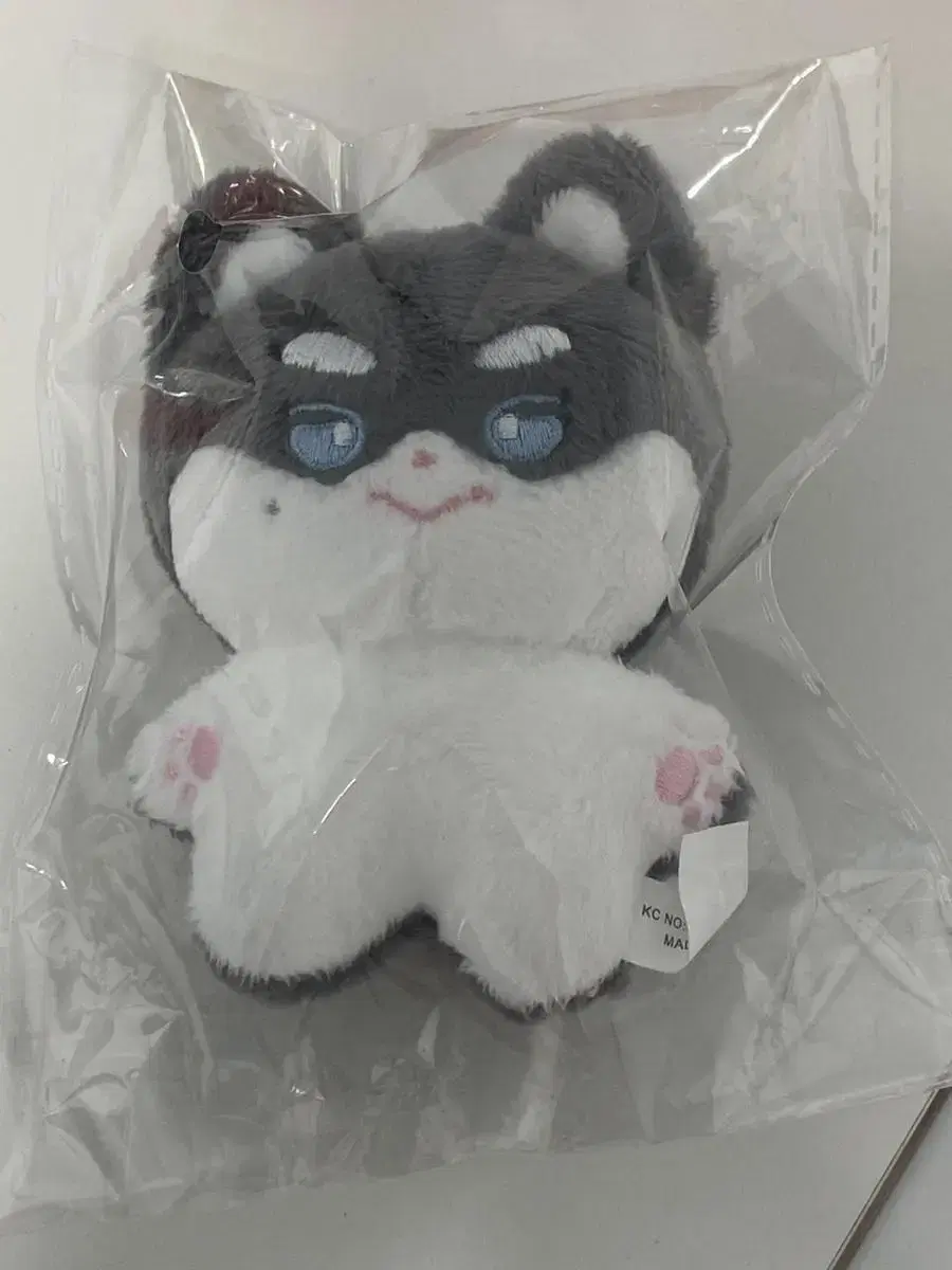 Bebeuk sealed wts park gunwook doll ZB1