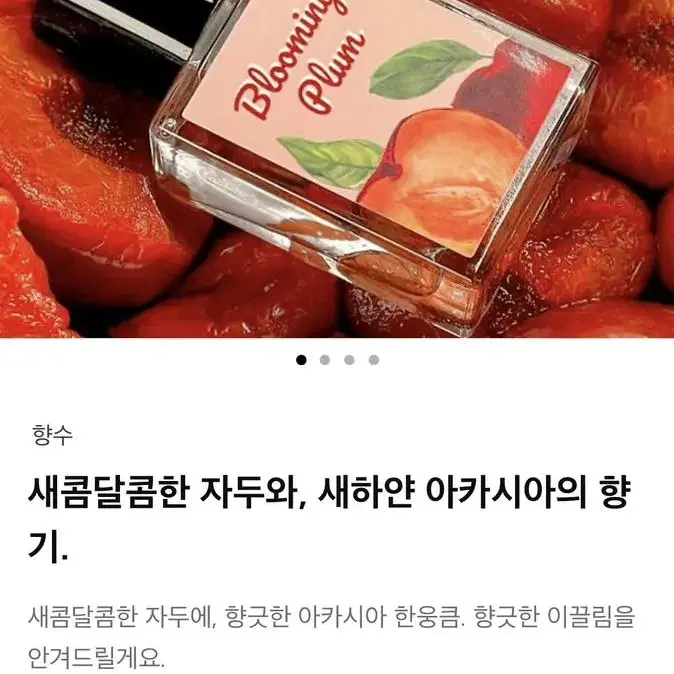 (반택포)텀블벅 향수 <블루밍 플럼>