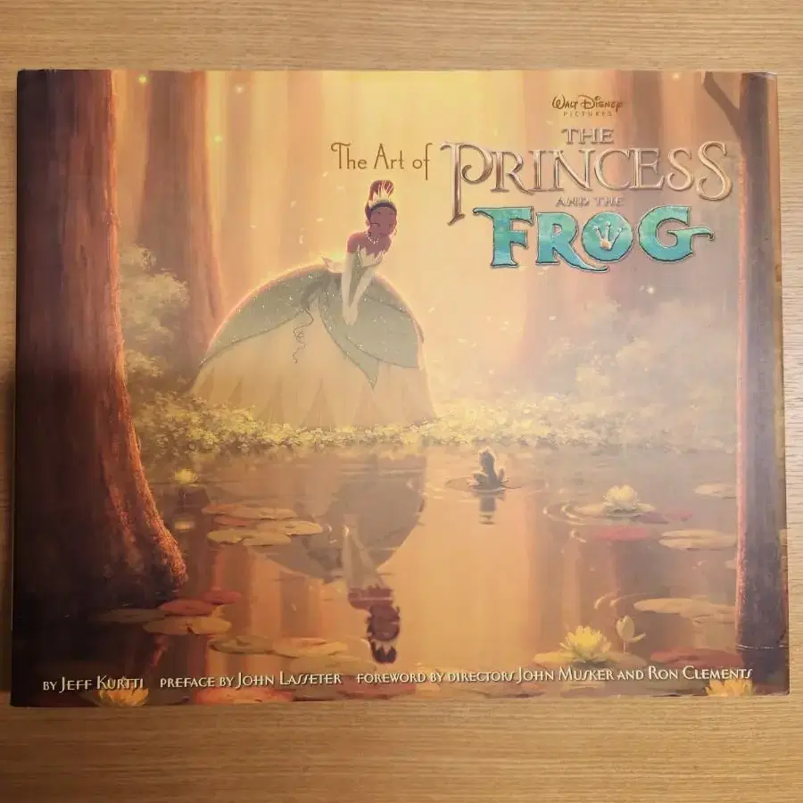 The art of the princess and the frog