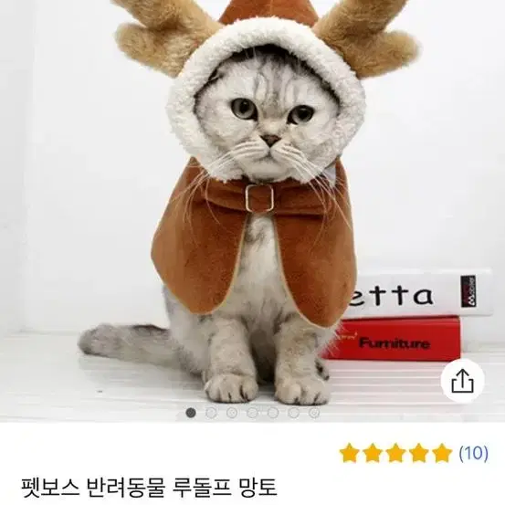 강아지 고양이 루돌프 망토