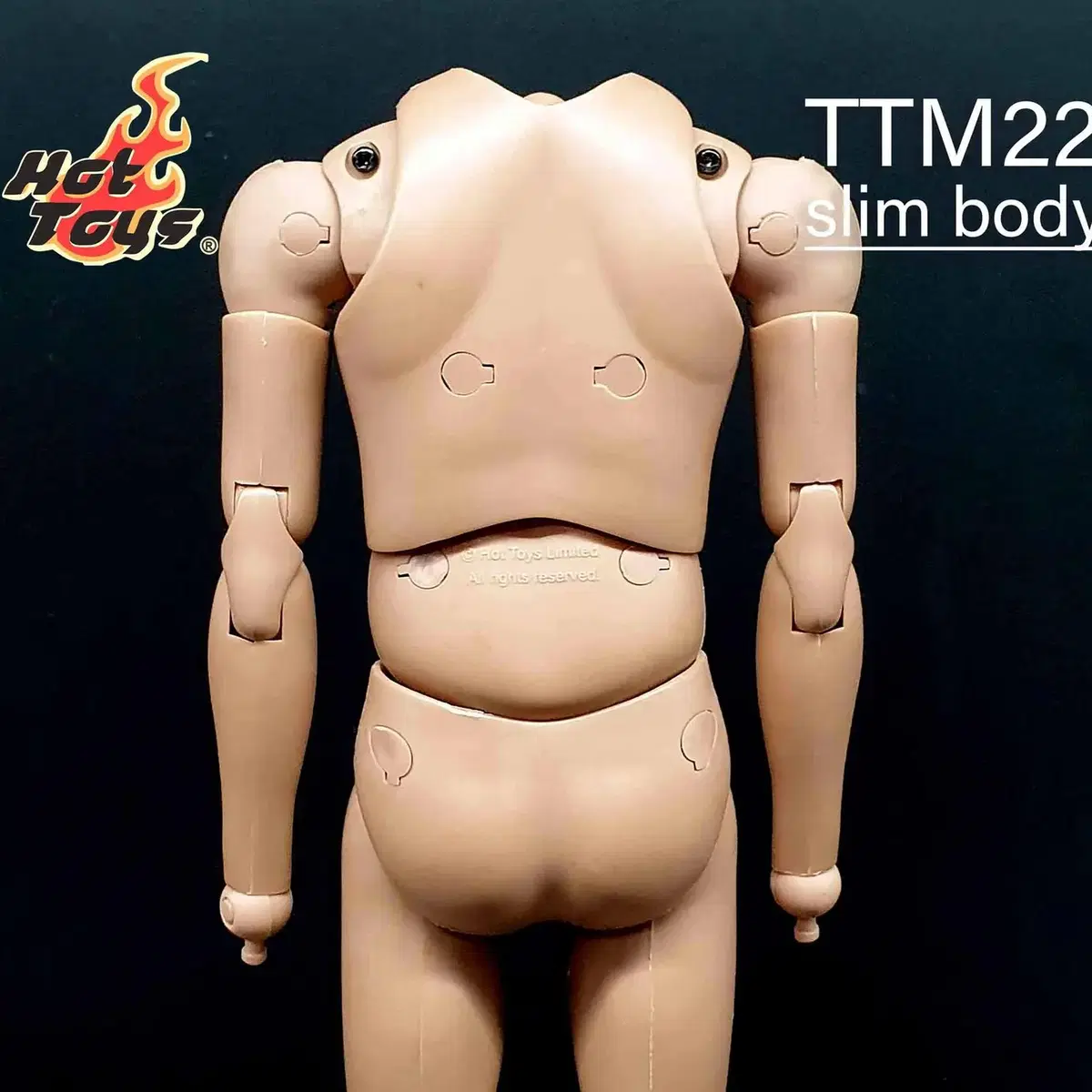 핫토이 TTM22 트루타입 슬림 바디(라쳇관절) 12인치 피규어