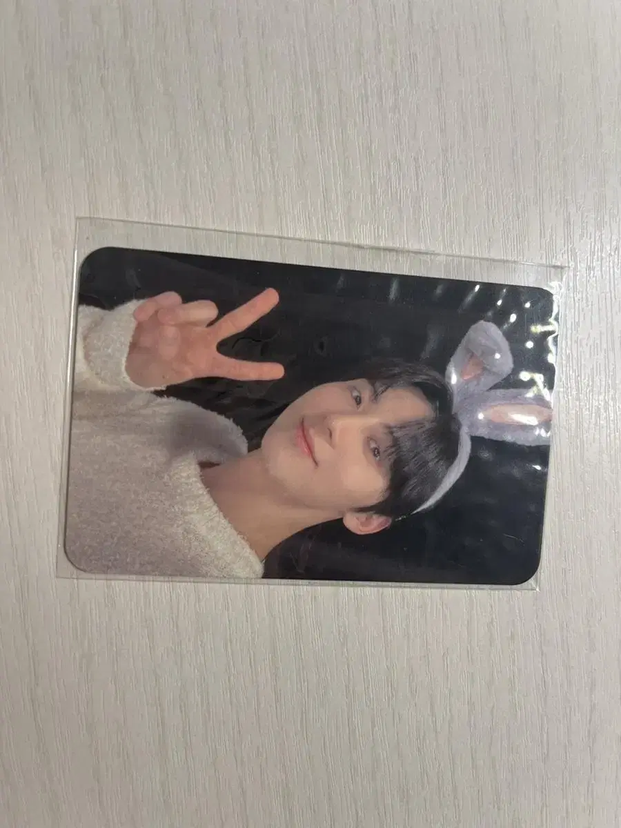 Bunny photocard hwang minhyun naver shopping live (folded ears)