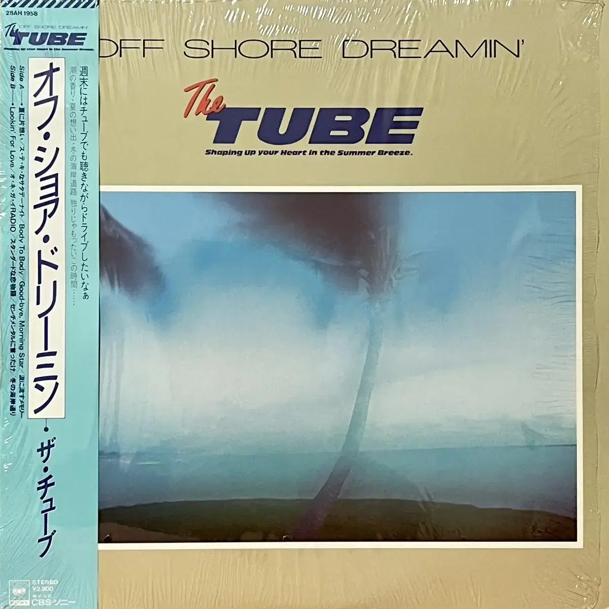 서프LP 튜브 The TUBE -Off Shore Dreamin'