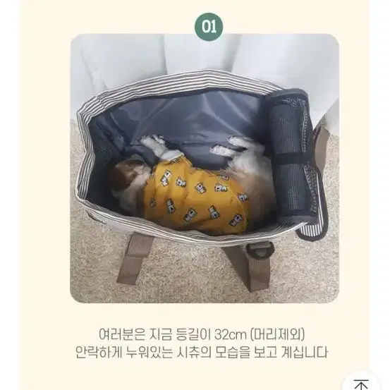 모드니펫 이동가방