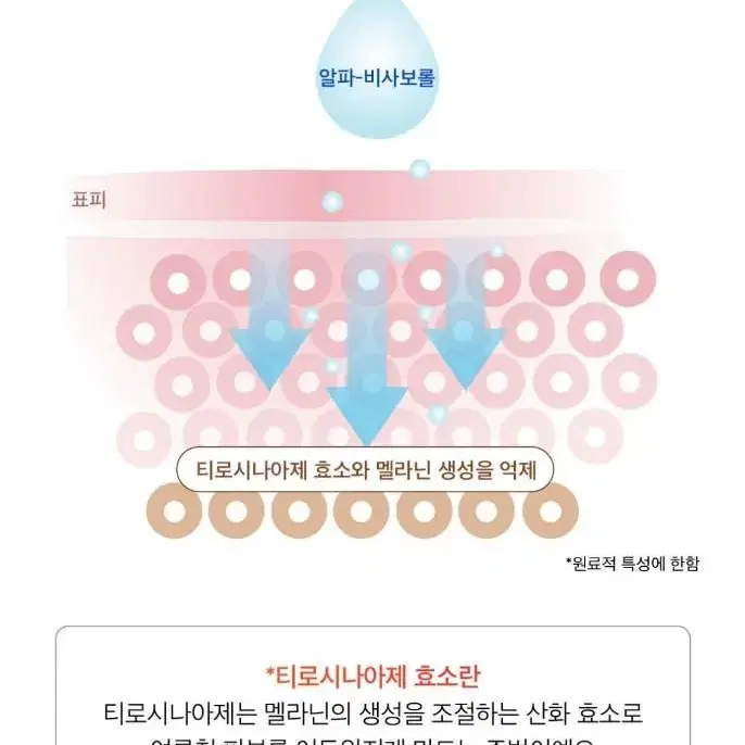 2주만에 색소침착  잡티 감소 피부자극없는 멜라토닝 미백 앰플