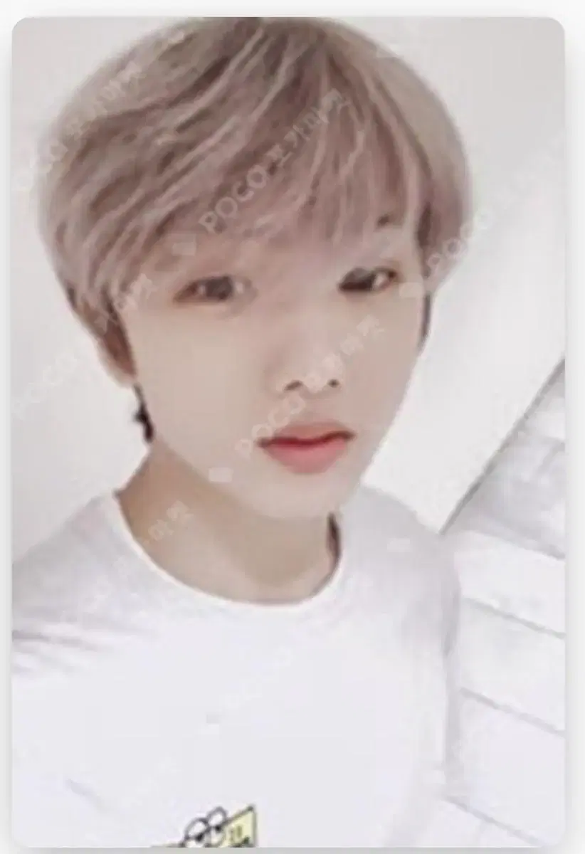 NCT jisung photocard in bulk