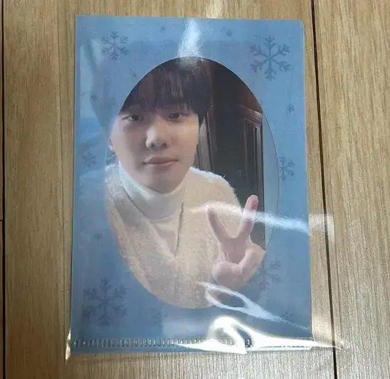 Ha Hyun Sang Makkon Concert Photocard