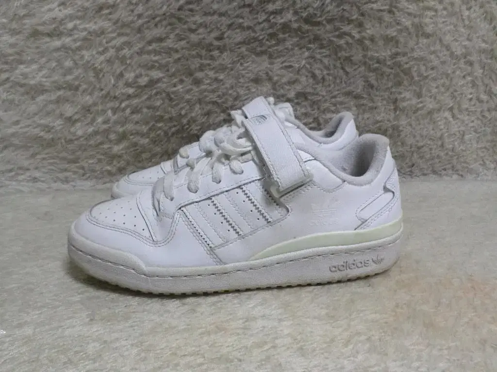 FLUROGUE 240 Adidas Forum Low Triple White Sneakers Used Shoes