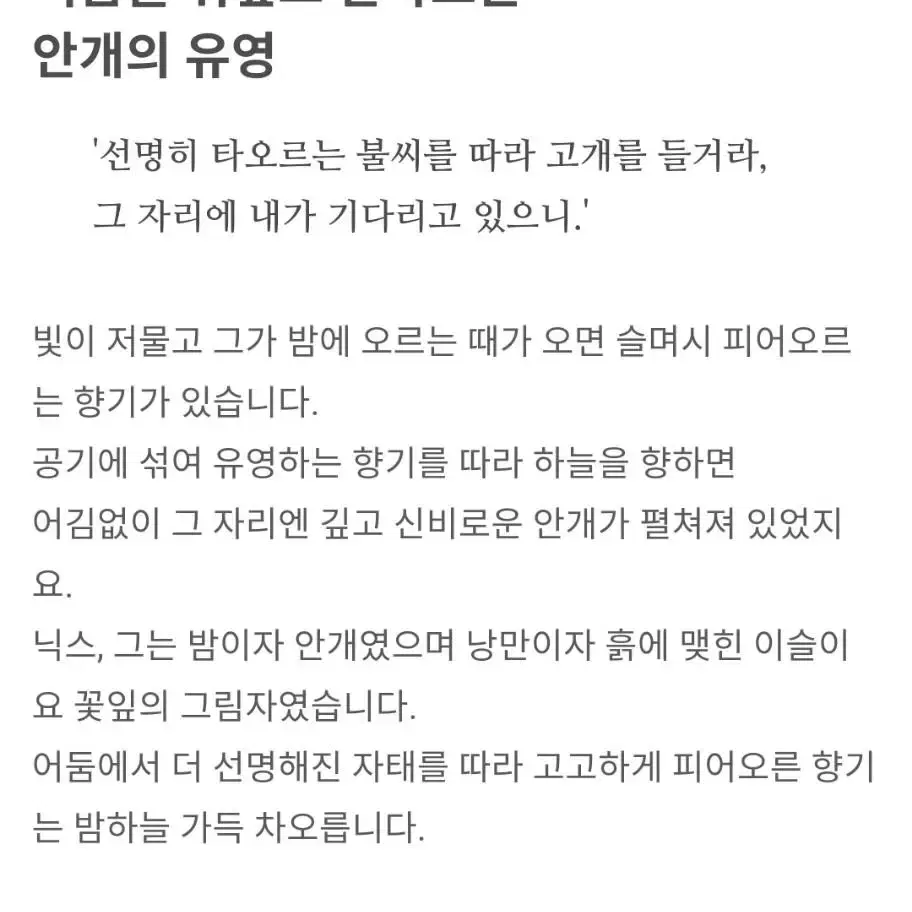 텀블벅 벨망 닉스 향수