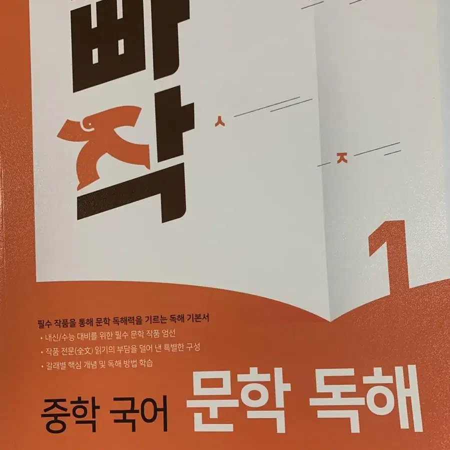 중등 국어 문학 독해 문제집