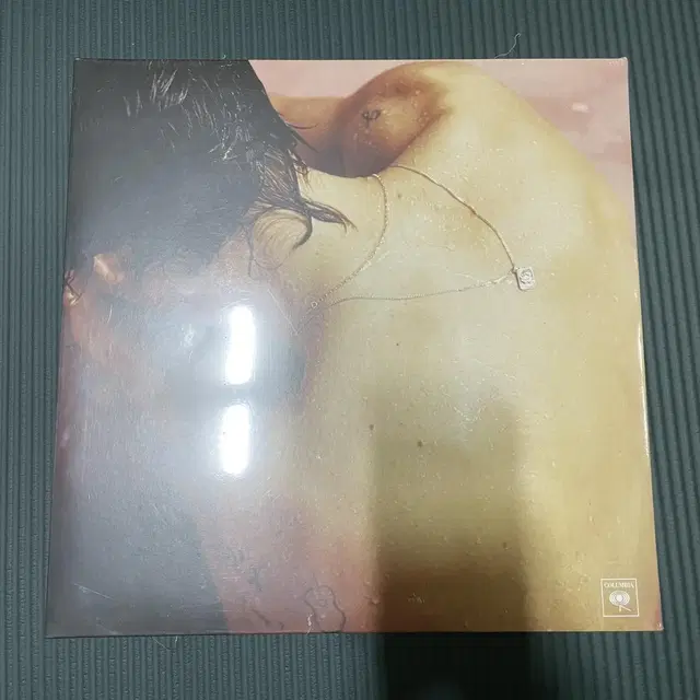 해리스타일스 Harry Styles LP