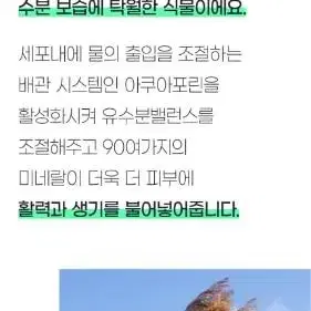 써니콘 카밍 약산성 수부지 대용량 수딩 모공 비건 수분 스킨 토너 300