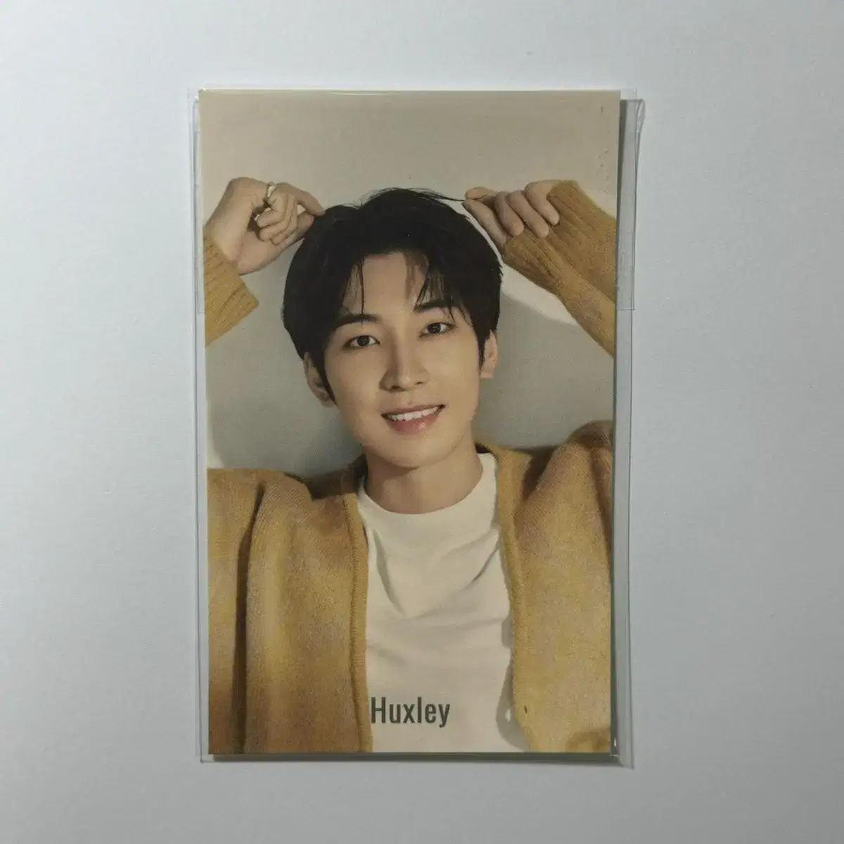 Seventeen wonwoo Huxley postcard WTS