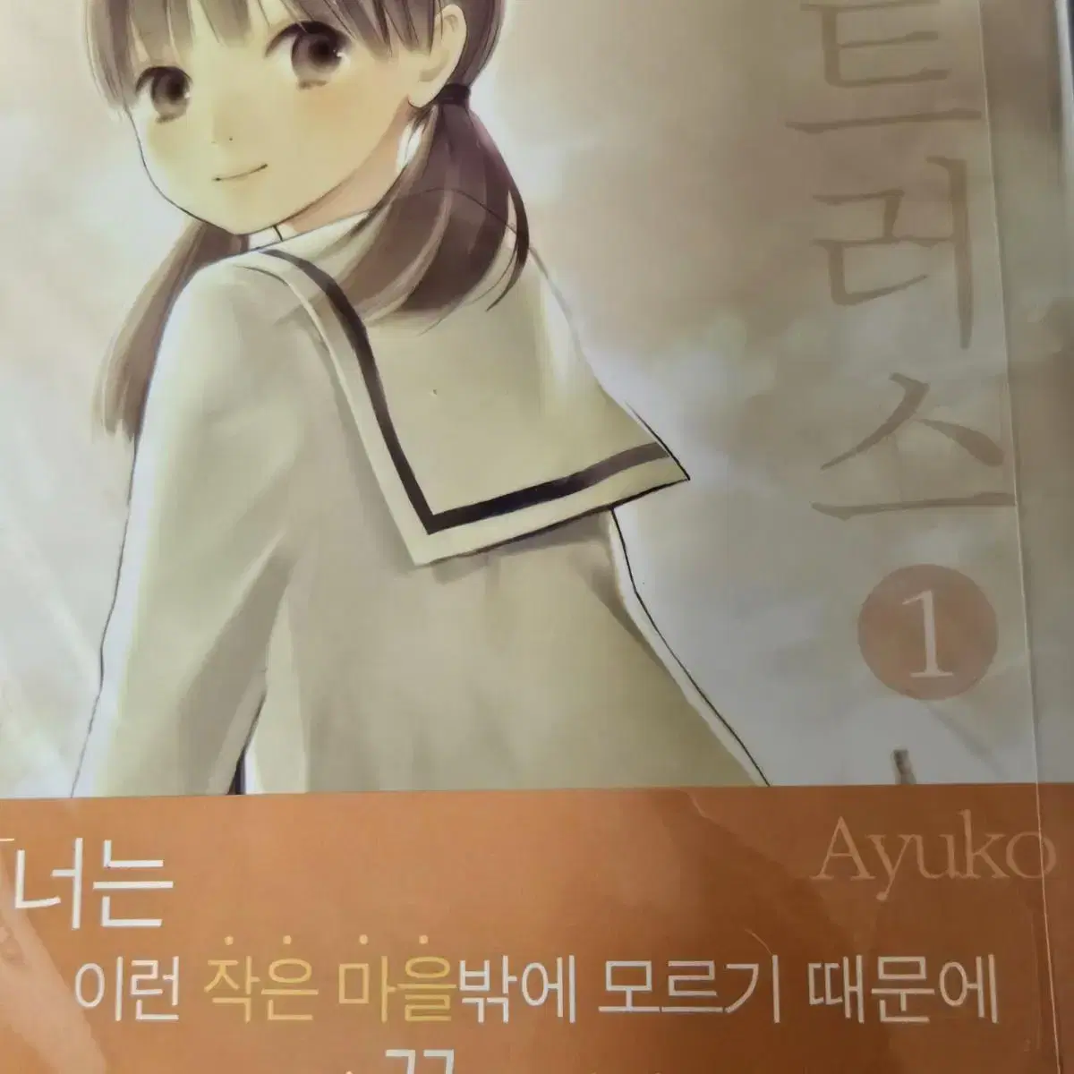 ayuko, 시트러스