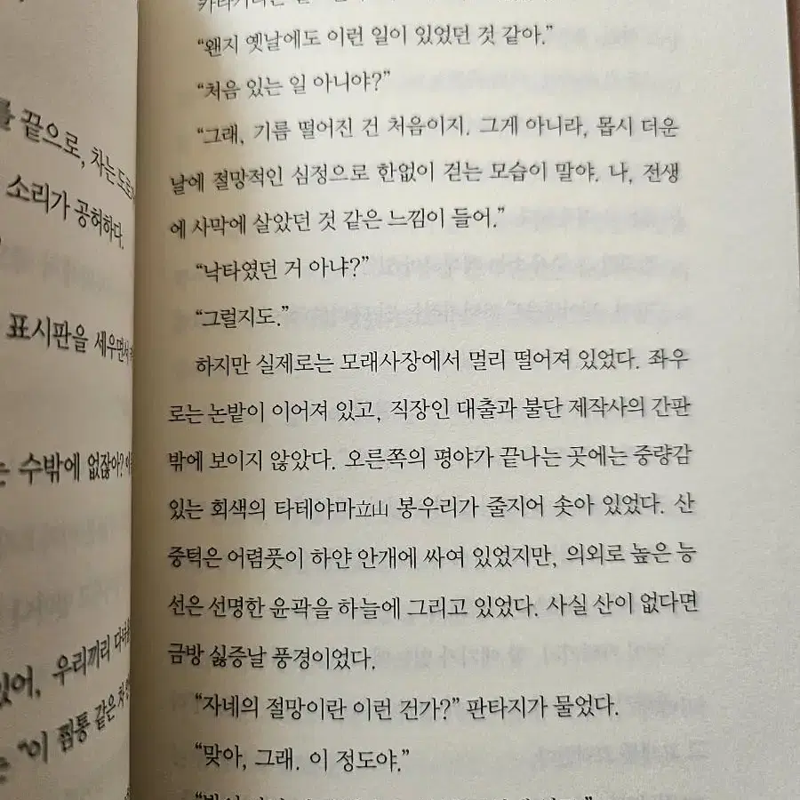 바다의 선인