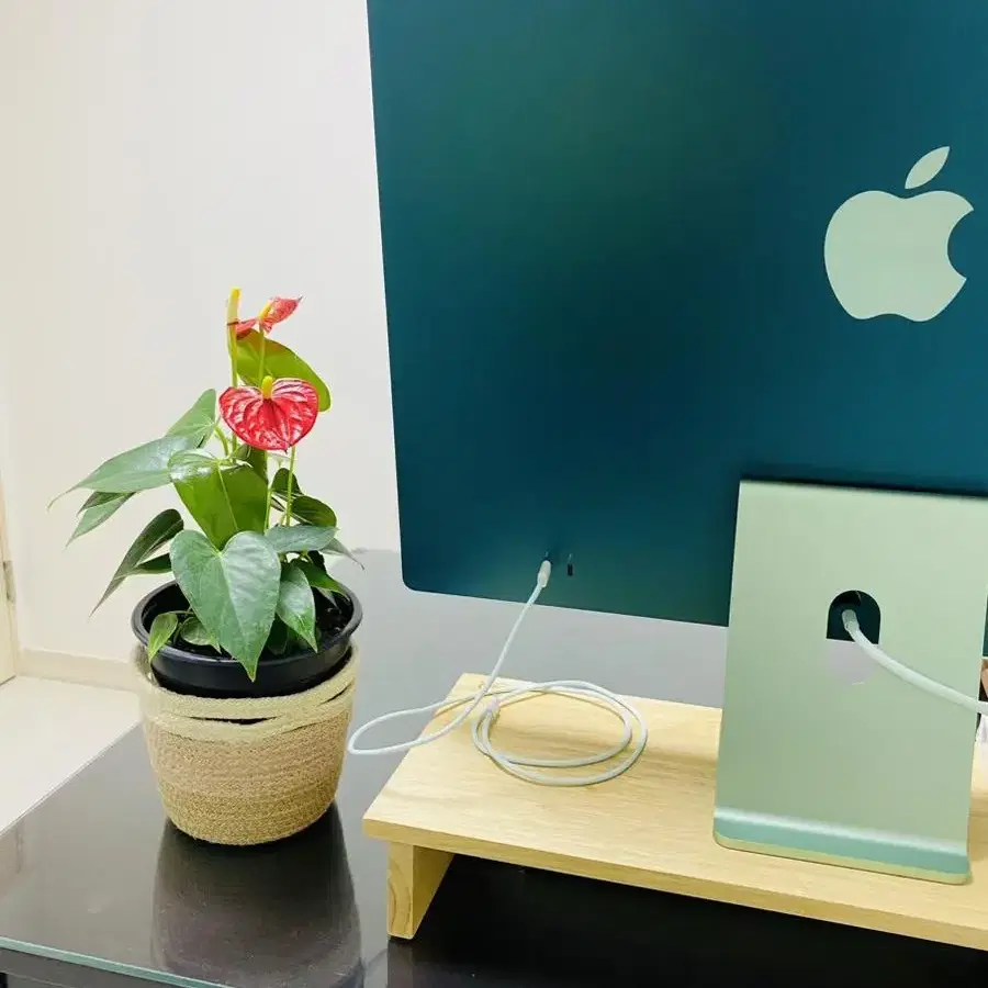 Apple 애플 iMac 아이맥 그린 풀박스