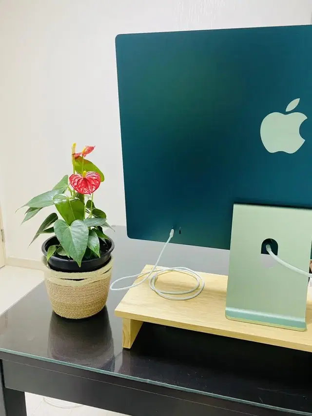 Apple 애플 iMac 아이맥 그린 풀박스