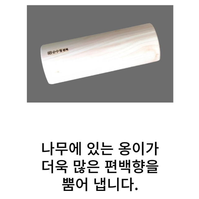 (대형) 편백 나무 목침 베개 / 목디스크 경추 허리 원목 목침대 경침