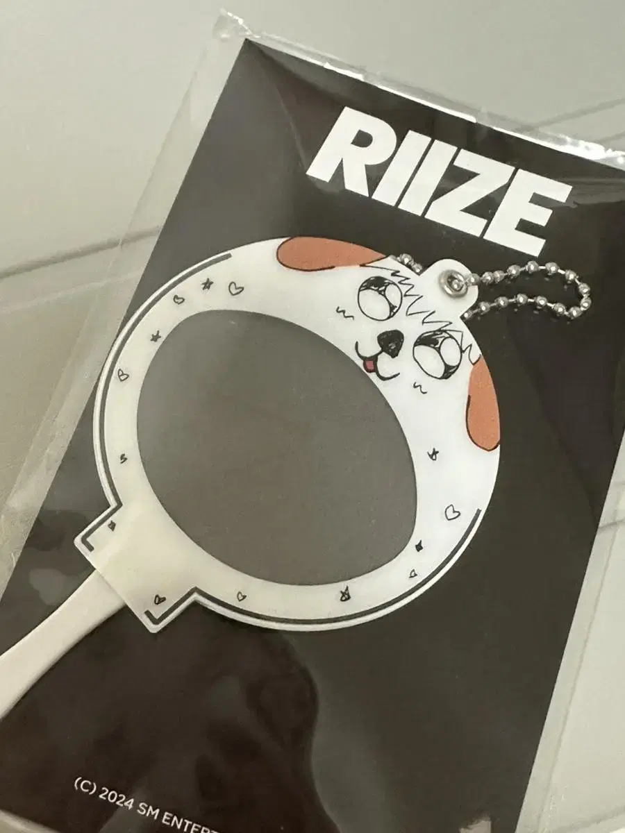 Rize chanyoung Minifanset Circle Spot