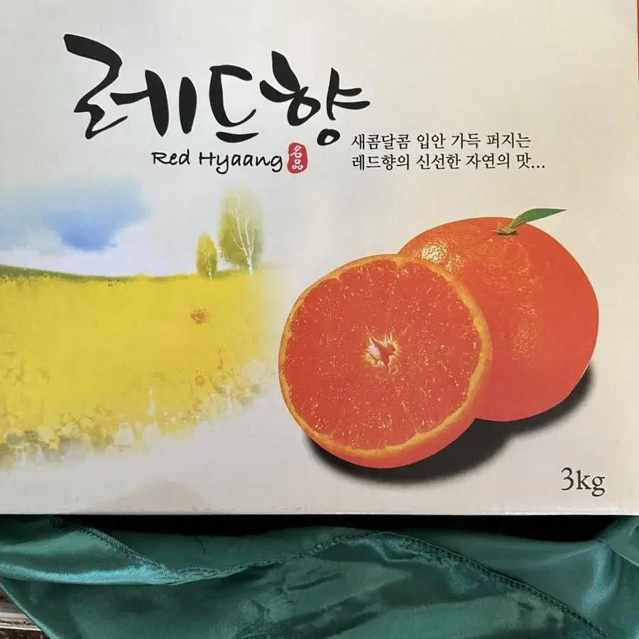 레드향3kg 선물셋트