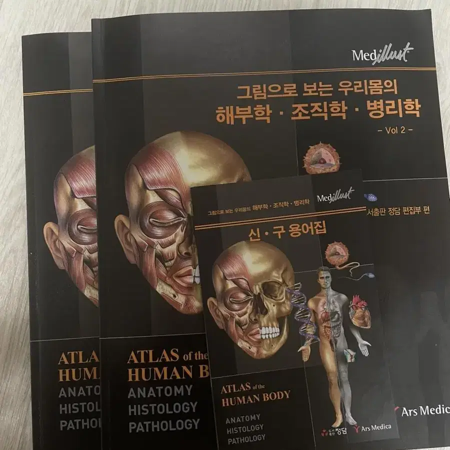 해부학 조직학 병리학 인체 구조와 기능 간호학과 책