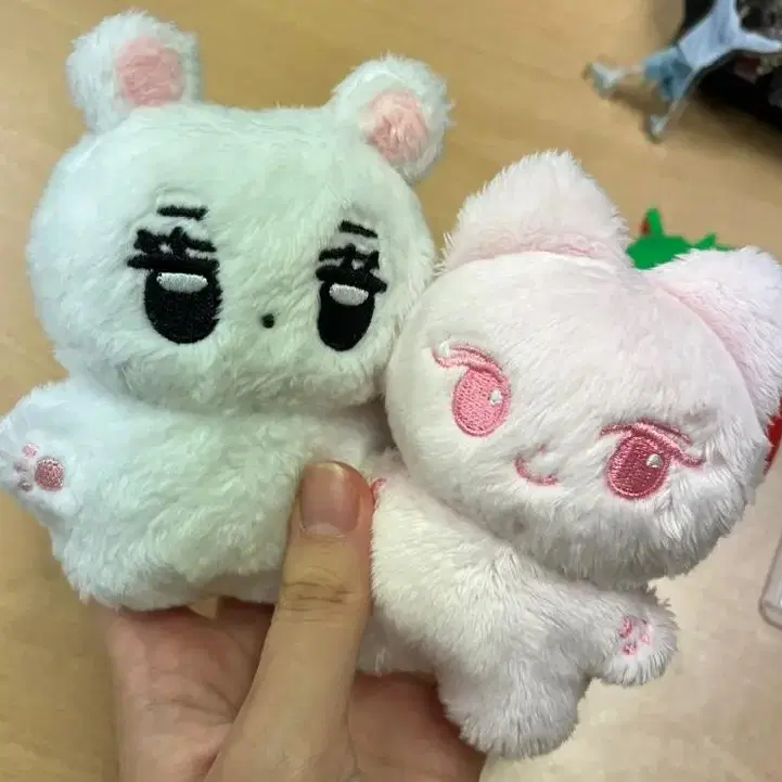 젤냥이 2차 현물 양도 (쿨거시 에눌가능)