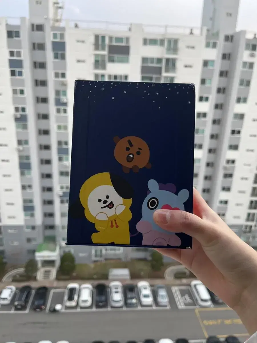 BT21 Snowball Limited Edition