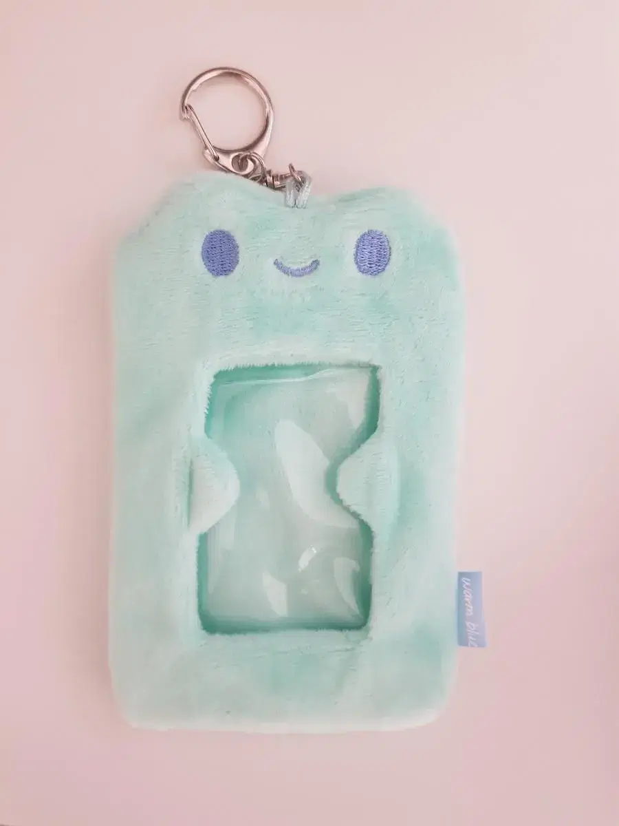 The Key World Frog Photocard Holder