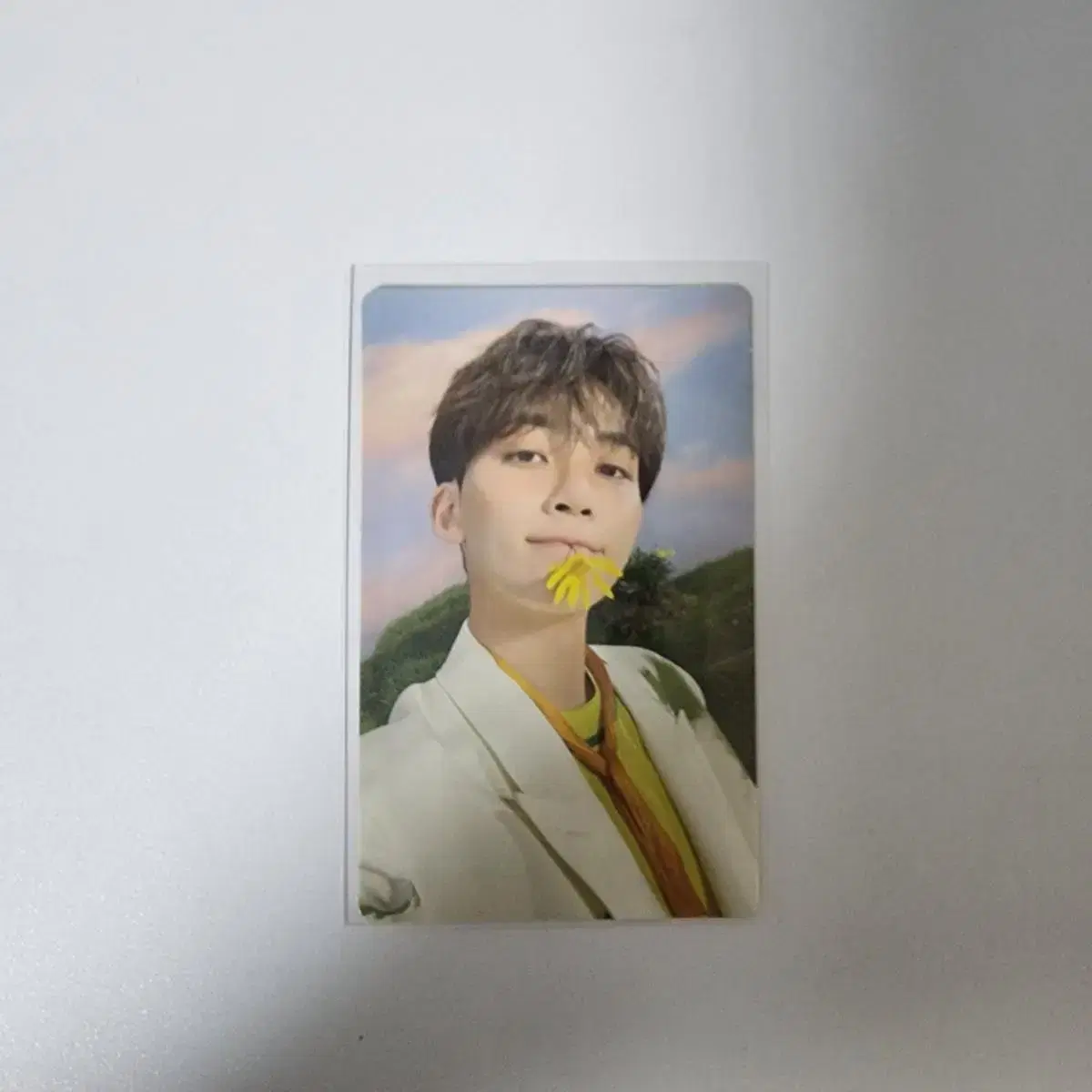 Seventeen jeonghan Sector17 kit Inverted photocard sell WTS