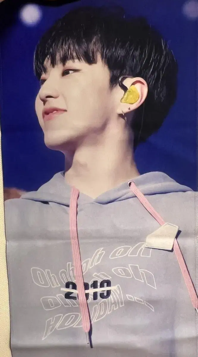 Seventeen hoshi slogan