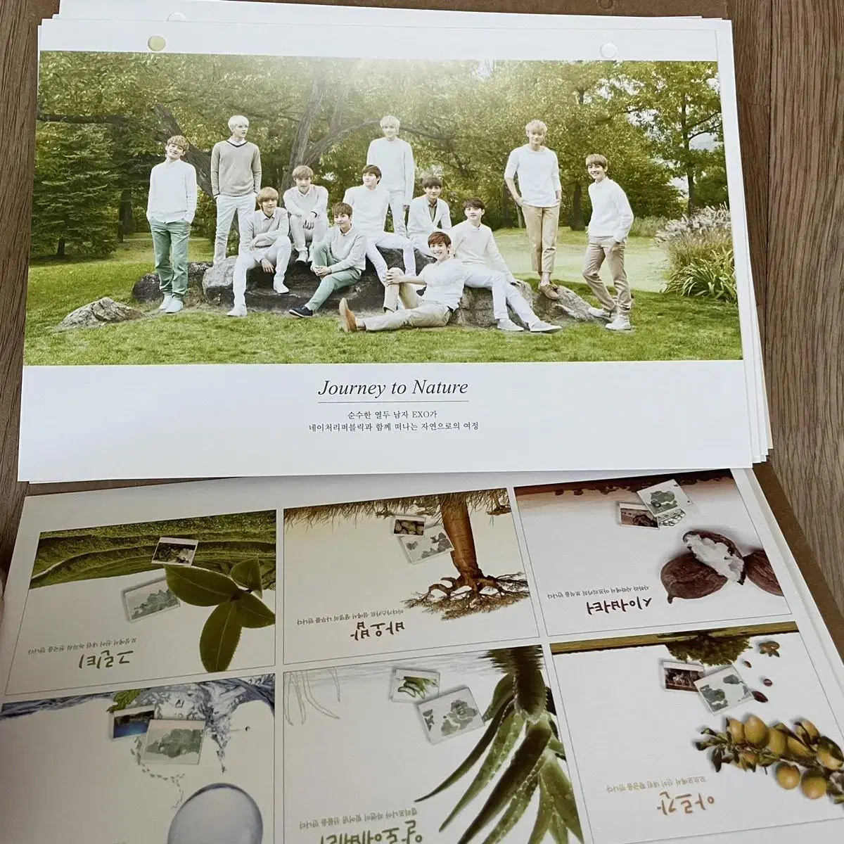 Exo NaturePublic Calendar