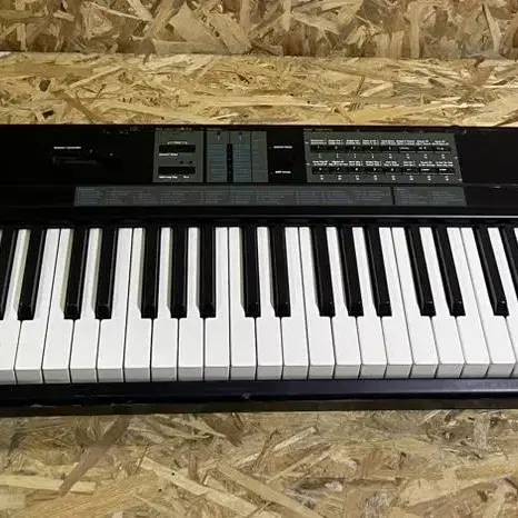 Kurzweil sp76