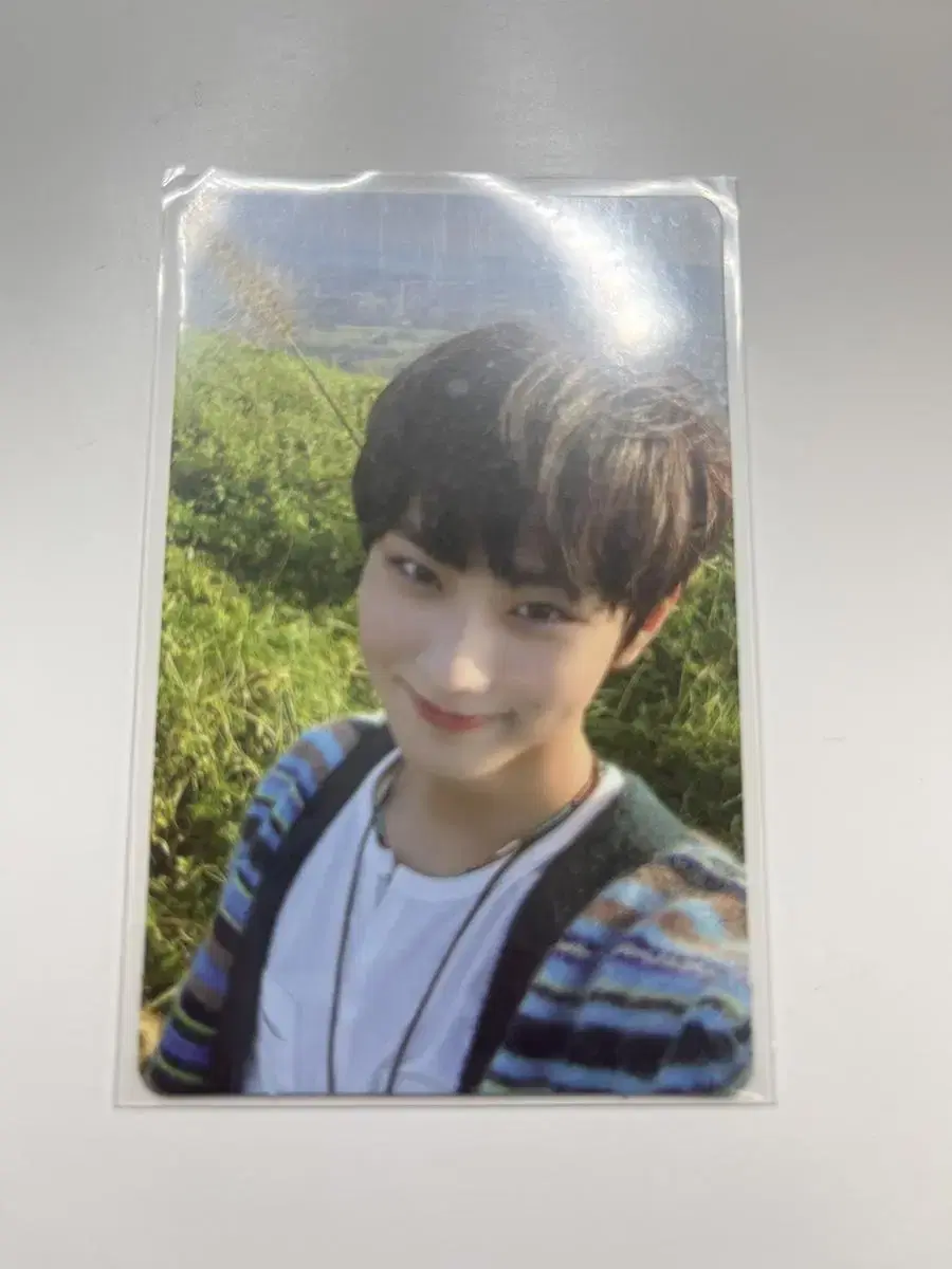 enhypen jungwon yang jungwon puppy grass photocard