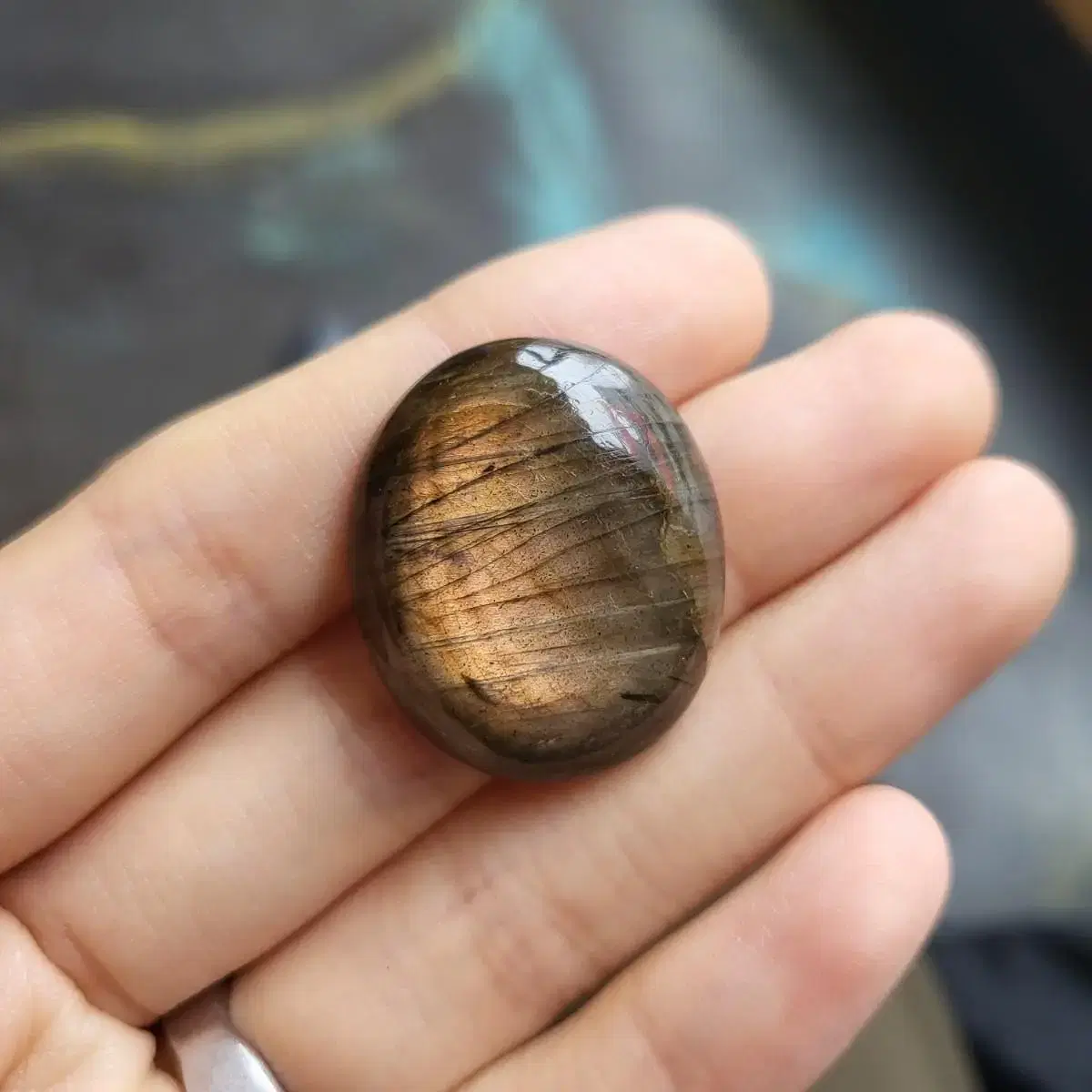 [Package] Labradorite Silver Slice